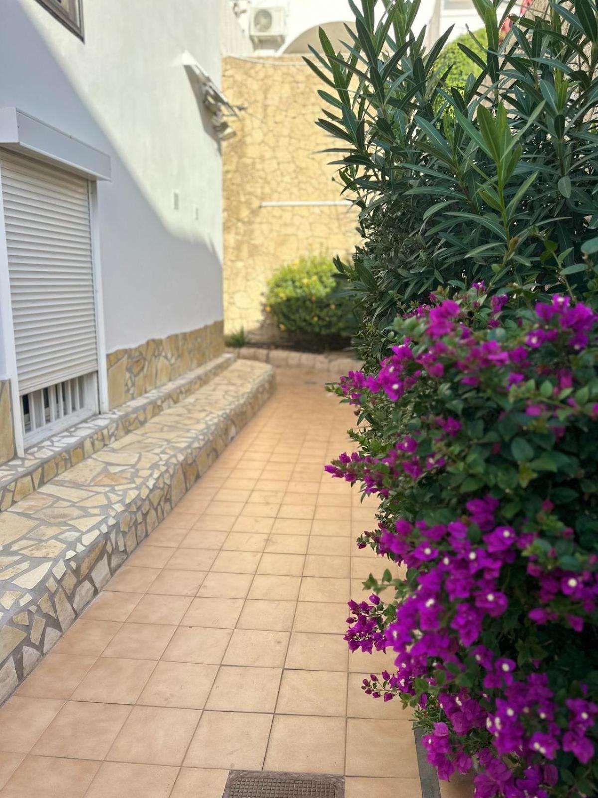 Sunny Sea View Apartment Center Of Las Americas ปลายาเดลาสอเมริกาส ภายนอก รูปภาพ