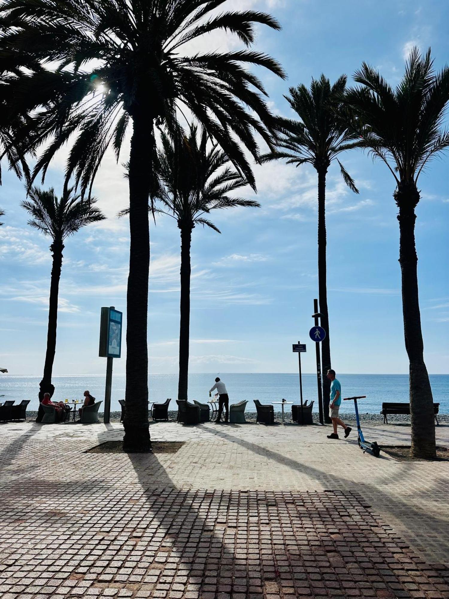 Sunny Sea View Apartment Center Of Las Americas ปลายาเดลาสอเมริกาส ภายนอก รูปภาพ